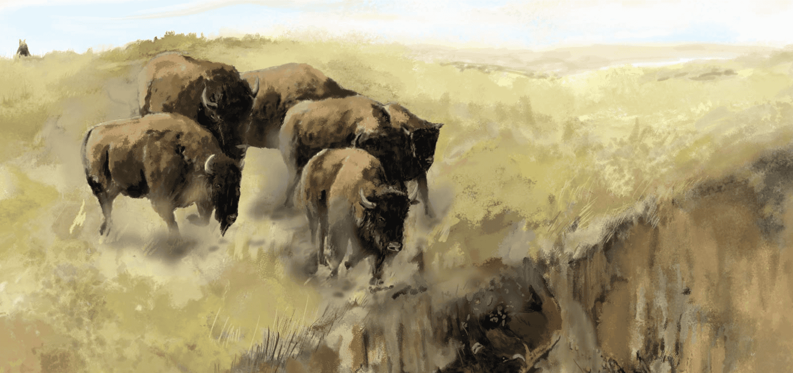 A painting shows buffalo running off a prairie cliff.